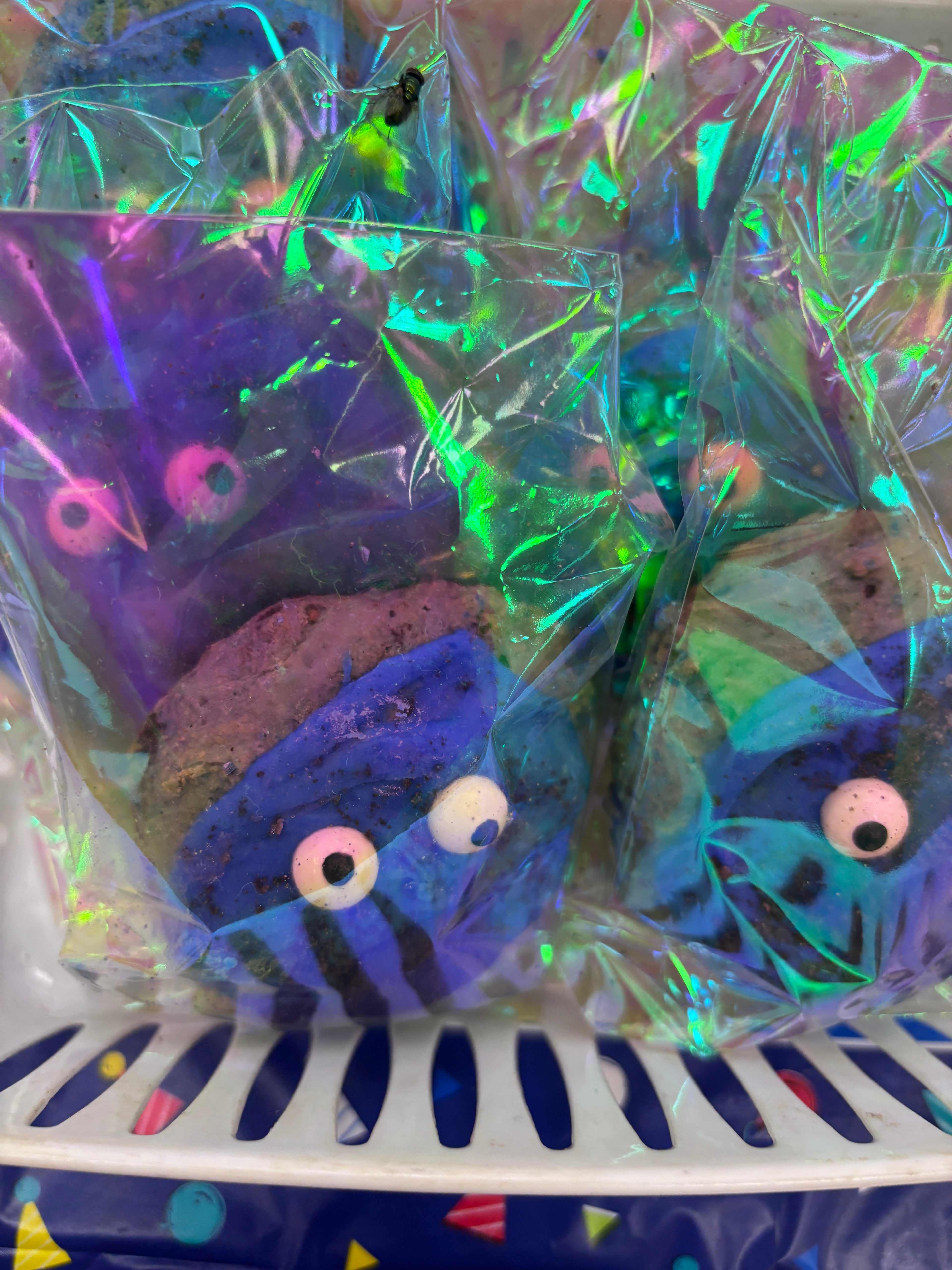 Blue Cookie Monster Cookies